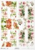 pigwa, pigwowiec, koniczyna, koniczynka, łąka, ogród, kwiat, kwitnąca jabłoń, wiosna, R860, quince, quince tree, clover, meadow, garden, flower, blossoming apple tree, spring, Quitte, Quittenbaum, Klee, Klee, Wiese, Garten, Blume, blühender Apfelbaum, Frü